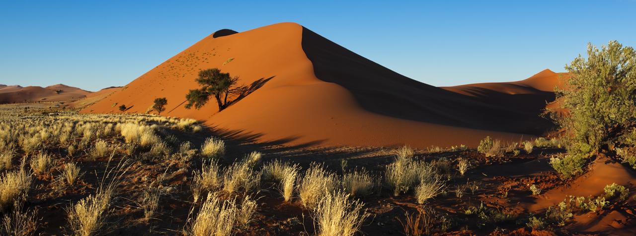 Red dunes of Sossusvlei in the Namib Desert